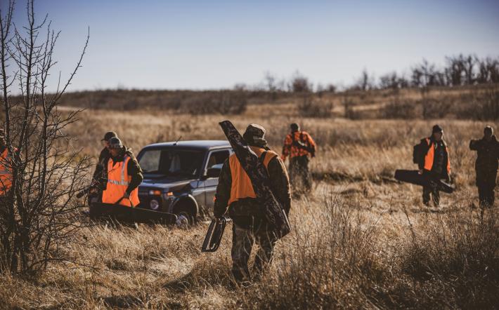 Caccia 1756815592441.jpg caccia cinghiali pochi enti aderiscono all anticipo del calendario per arginare la peste suina 1758876889413