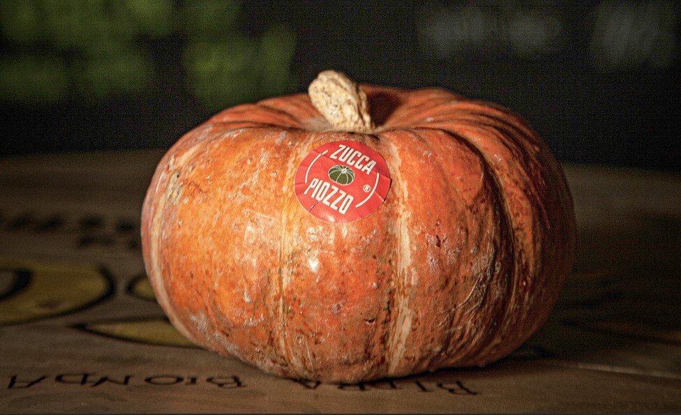 Zucca Piozzo Foto Carlo Bava 1759484569770