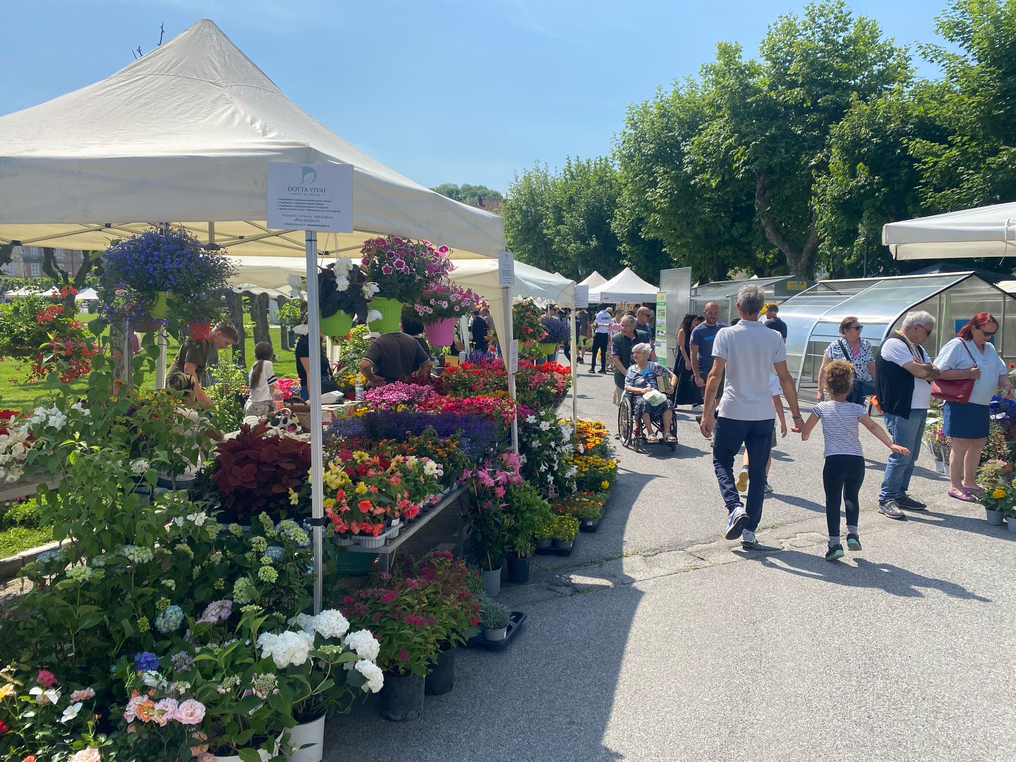 PROVINCIA GRANDA - Le bancarelle davanti alla Palazzata al Santuario