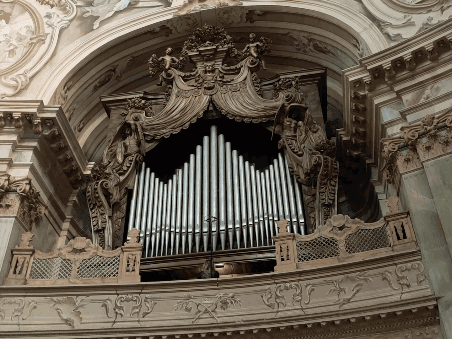 PROVINCIA GRANDA - L'organo della Basilica vicese