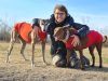 PROVINCIA GRANDA - La scrittrice di Carrù Graziella Dotta con i suoi cani
