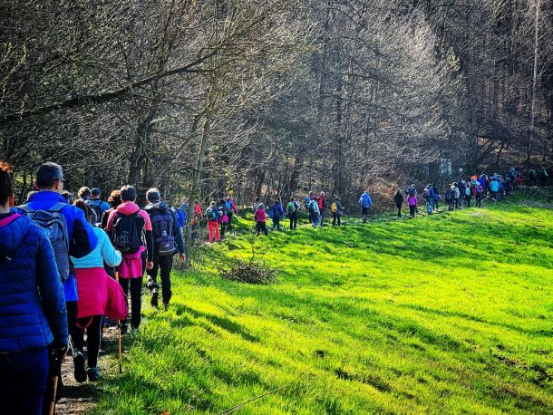 PROVINCIA GRANDA - Un precedente evento sul petalo giallo monasterolese