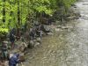 PROVINCIA GRANDA - Un raduno di pesca sul torrente Pesio