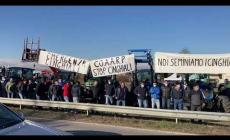 VIDEO - Emergenza cinghiali: anche a Mondovì il Flash Mob del Coaarp