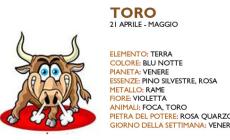 TORO