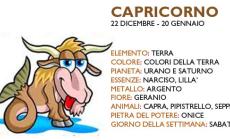 CAPRICORNO