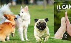 Il cane è altamente ricettivo verso le nostre emozioni