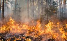 Vasto incendio nei boschi di Montaldo, non si esclude l’origine dolosa
