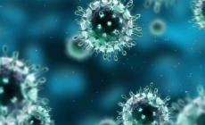 Coronavirus: negativi  i 15 accertamenti in Piemonte