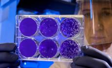 Coronavirus: c'è un unico, vero numero di emergenza
