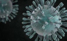Covid: in Piemonte ril apporto tra contagi e tamponi scende a 6,8%