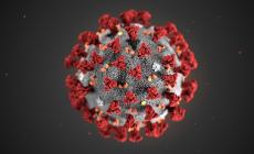 Coronavirus: Piemonte, +15 positivi e nessun decesso
