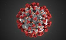 Coronavirus: oggi in Piemonte 70 decessi, ma crescono i guariti