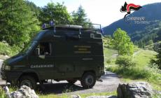 Abbruciamenti di materiale verde in campagna: quattro sanzioni