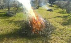 Revocato lo stato di massima pericolosità per gli incendi boschivi