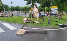Vicoforte colpita dal maltempo: danni a tetti e alberi