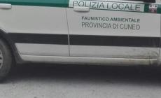 Niella: forzata auto della della polizia locale ambientale
