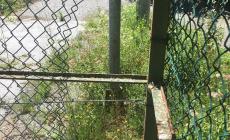 Torre: riaprono i parcogiochi, ancora vandali al campo di Roatta