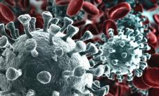 Coronavirus, altro giorno senza decessi ma 20 contagi in più