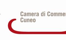 Vino: la Camera di Commercio ridefinisce i criteri di rilevazione dei prezzi delle uve