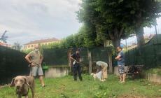 Mondovì: via libera alla realizzazione di aree cani