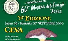 Ceva: la “Settimana del fungo” entra nel vivo 