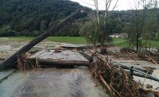 Danni anche a San Michele: allagati i campi di Tetti Casotto