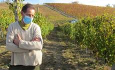 Per la prima volta a Rocca Cigliè si vendemmia Nebbiolo
