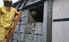 Spettacolari nidi di vespe al cimitero di Peveragno rimossi dai pompieri di Morozzo