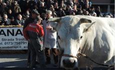 Bue Grasso: nel giovedì della tradizione a Carrù va in scena la Fiera… “che non c’è”!