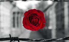 “Memoria del futuro”: mercoledì 27 gennaio il webinair organizzato dal Liceo Vasco-Beccaria-Govone di Mondovì