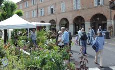 Il Comune di Vicoforte programma gli eventi estivi (covid permettendo)
