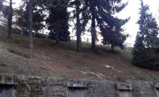 Mondovì: pulizia e messa in sicurezza della scarpata di via Cornice