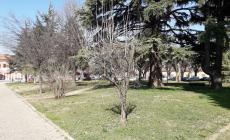 Mondovì, lo Skate Park nascerà nei giardini di fronte alla stazione ferroviaria

