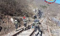 Forte vento in Valle Tanaro ed in tutta la "Granda" - A Bagnasco cartelli stradali ed alberi sulle strade e sulla ferrovia rimossi dai vigili del fuoco