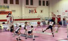 Il "Puma" abbatte in quattro set Soverato