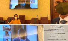 Filiera della carne bovina di razza Piemontese, la Lega chiede interventi mirati per sostenerla