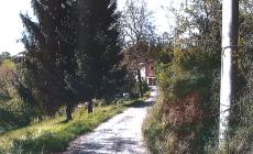 “Chiediamo la sistemazione di via San Paolo”: la richiesta di un gruppo di cittadini al sindaco Michelotti