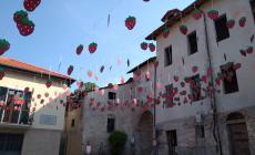 Apettando il Mercato delle Fragole Peveragno si veste a festa