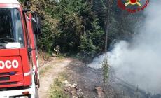 Incendio boschivo a Chiusa Pesio, intervento dei vigili del fuoco di Cuneo e Morozzo