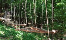 Un nuovo “bosco delle scoperte” a Vicoforte