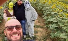 I girasoli di Farigliano continuano a stupire