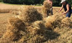 Niella: un agosto pieno di eventi “nel nome del pane”