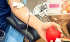 Green pass non necessario per donare il sangue presso le strutture ospedaliere