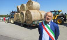 FOTOGALLERY - Piozzo for Sardegna, la partenza delle balle di fieno da San Grato