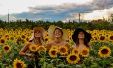 FOTOGALLERY - "Girasoli Farigliano", tutte le foto premiate