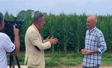 “Studio Aperto” a Carrù per raccontare la razza Piemontese, gli allevamenti dei bovini, il territorio