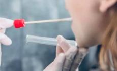 Covid, Cirio: "In Piemonte primi test salivari per la scuola"