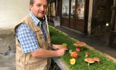 Presentato il programma della 60ª edizione della Mostra nazionale del Fungo di Ceva