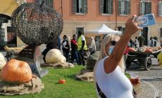 FOTOGALLERY - A Piozzo... zucche in piazza! 